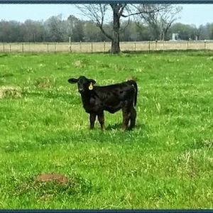 Meet your Posher, Gina